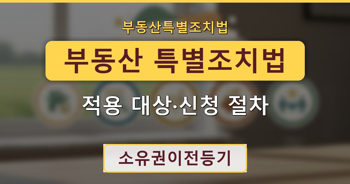 부동산 특별조치법 - 적용 대상·신청 절차 안내